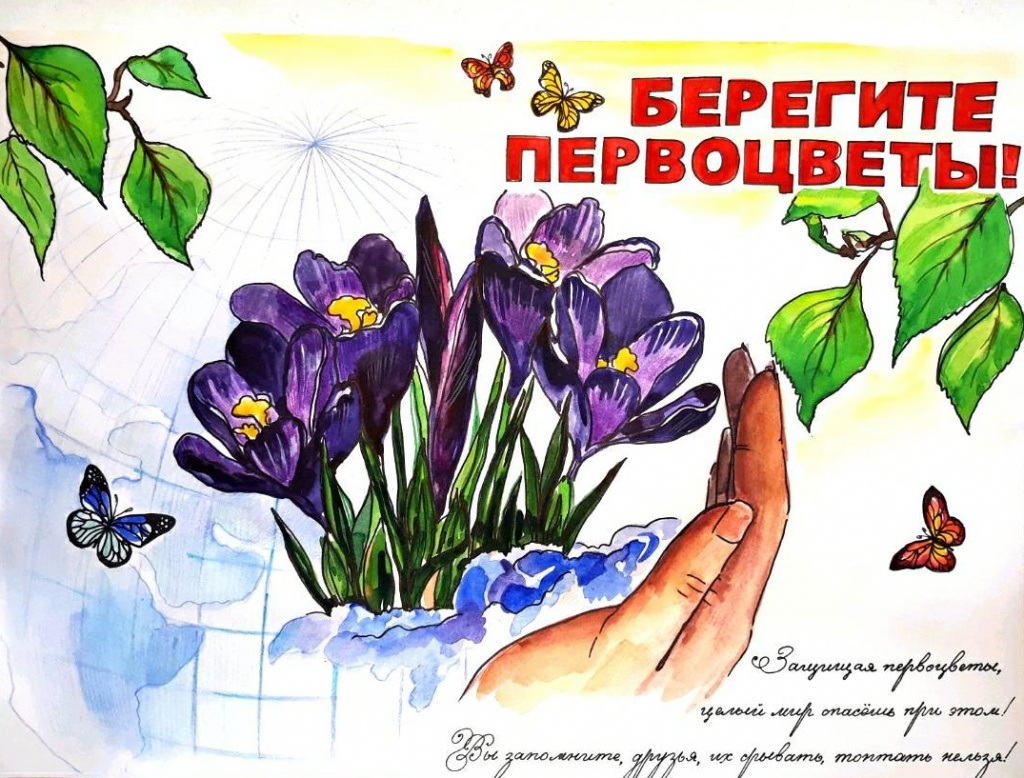 Плакат в защиту первоцветов